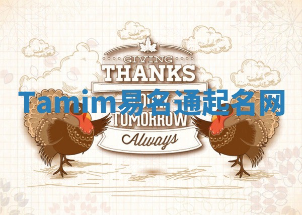 Tamim易名通起名网