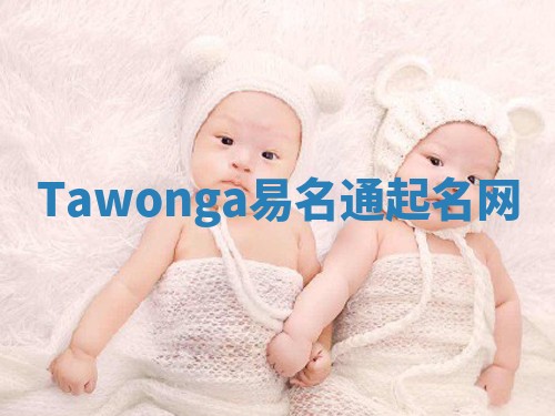 Tawonga易名通起名网