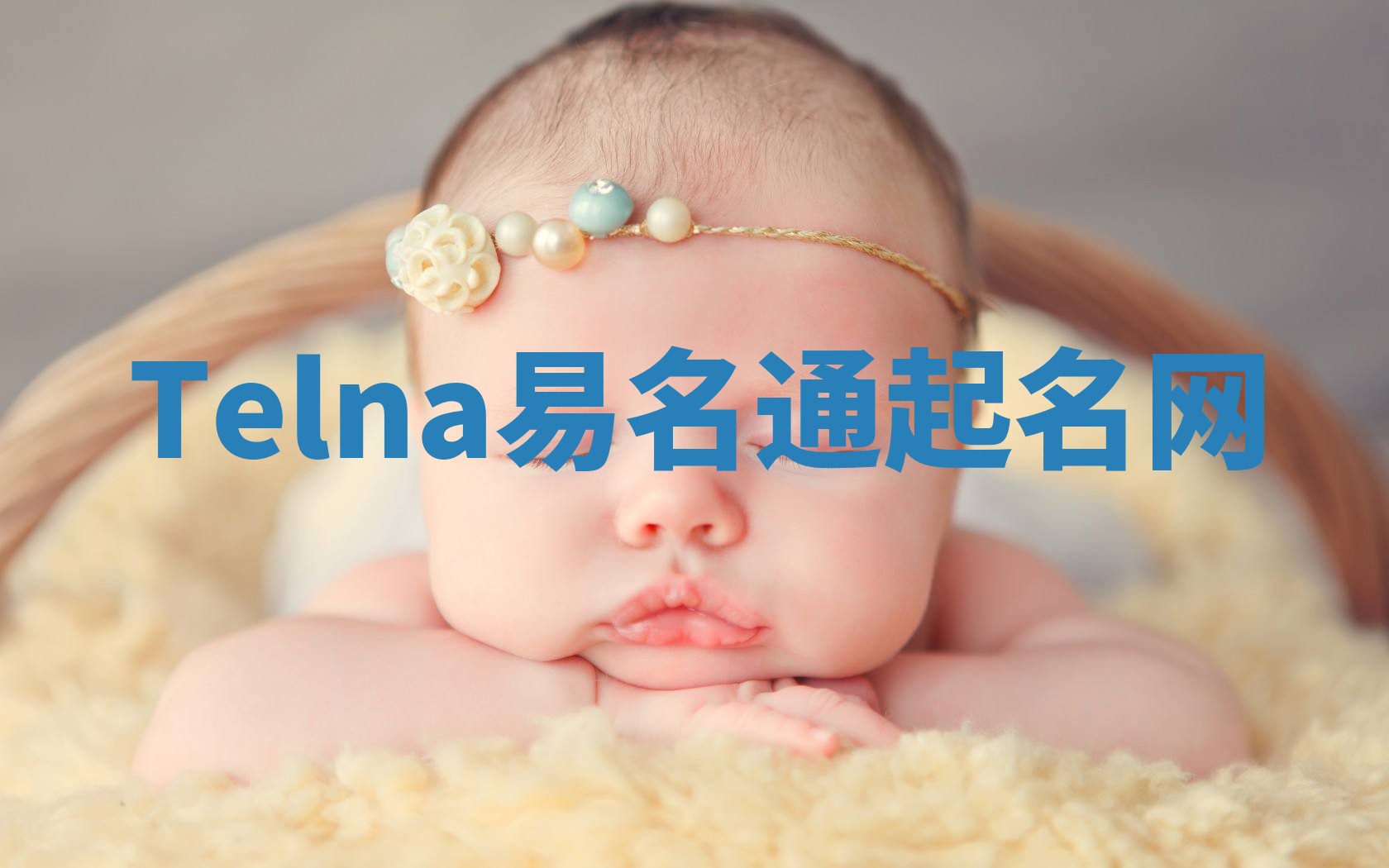 Telna易名通起名网