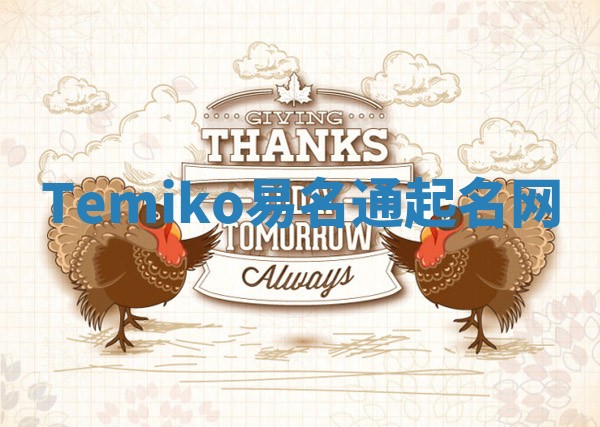 Temiko易名通起名网