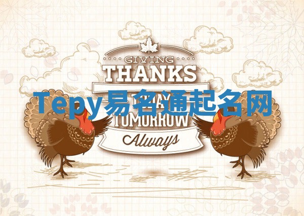 Tepy易名通起名网