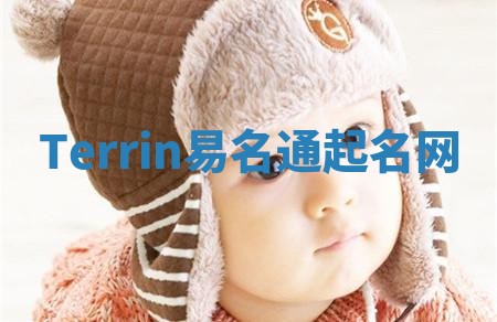 Terrin易名通起名网