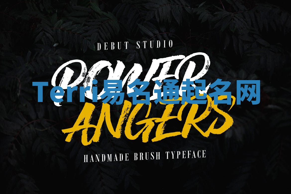 Terri易名通起名网 Terri易名通起名网