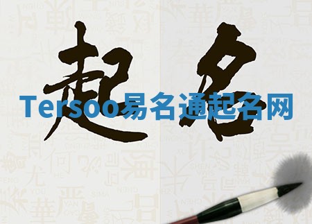 Tersoo易名通起名网 Tersoo易名通起名网