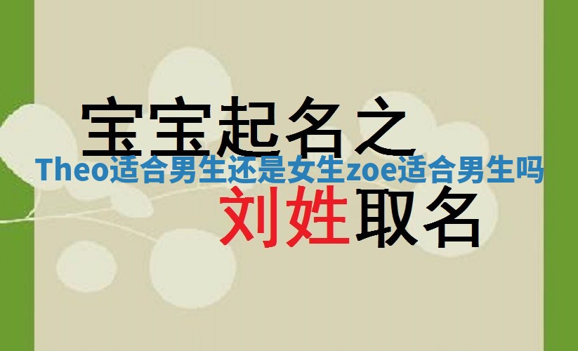 Theo适合男生还是女生 zoe适合男生吗 Theo适合男生还是女生 zoe适合男生吗