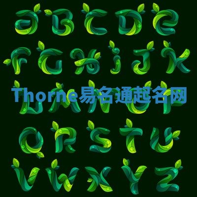 Thorne易名通起名网