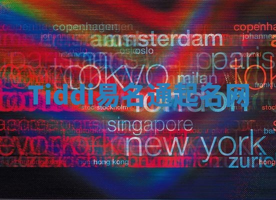 Tiddi易名通起名网 Tiddi易名通起名网