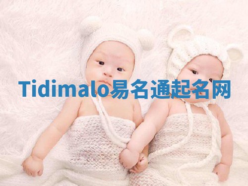 Tidimalo易名通起名网