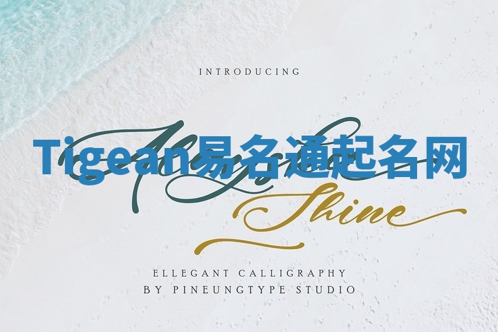 Tigean易名通起名网