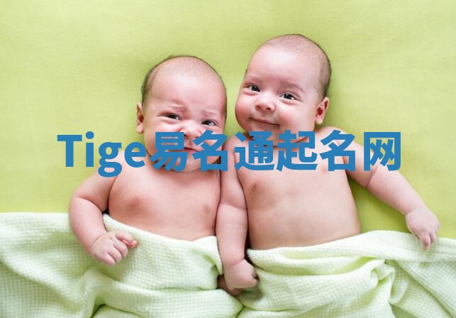 Tige易名通起名网