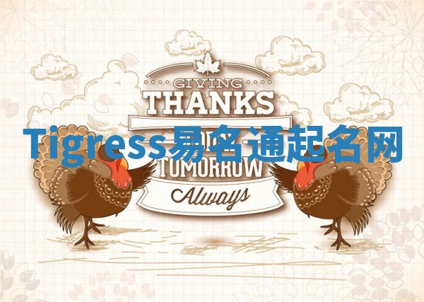 Tigress易名通起名网