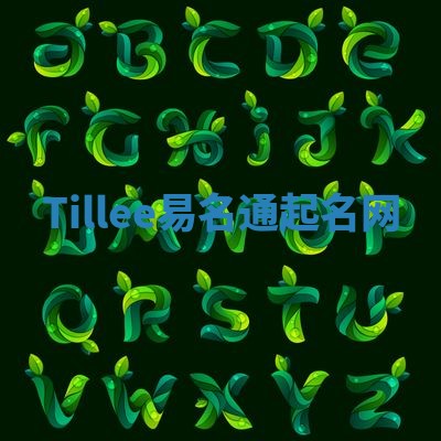 Tillee易名通起名网 Tillee易名通起名网