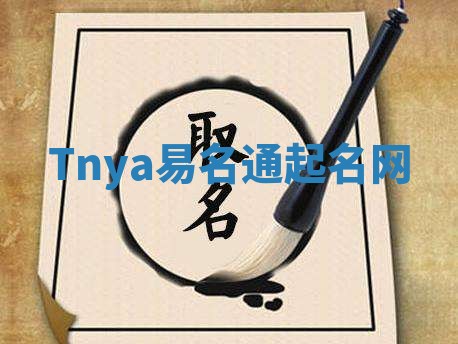 Tnya易名通起名网 Tnya易名通起名网