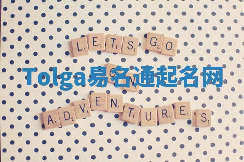 Tolga易名通起名网
