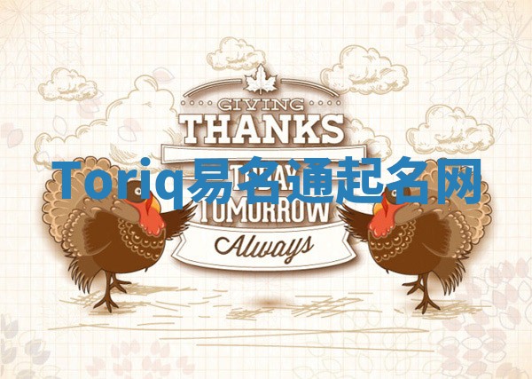 Toriq易名通起名网