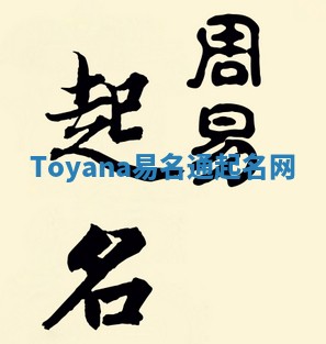 Toyana易名通起名网