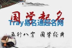 Tray易名通起名网