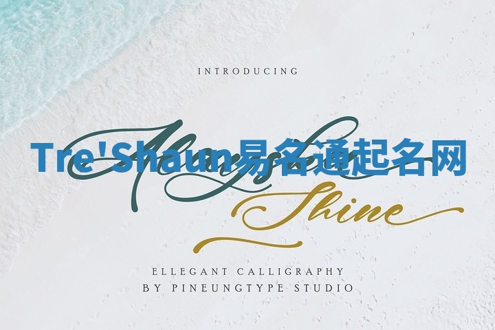 Tre'Shaun易名通起名网