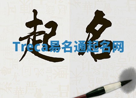Treca易名通起名网