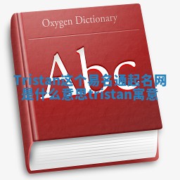 Tristan这个易名通起名网是什么意思 tristan寓意