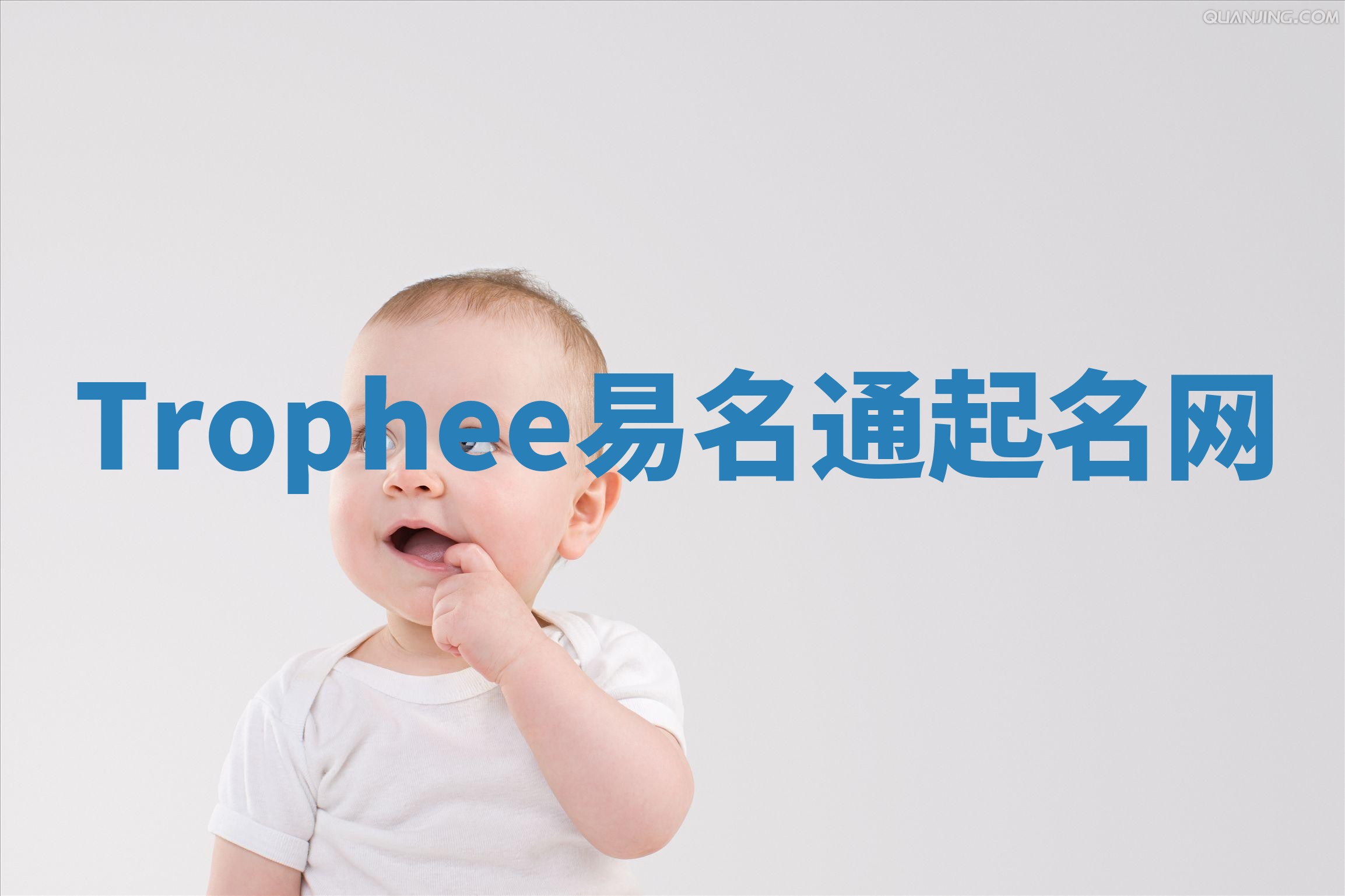 Trophee易名通起名网