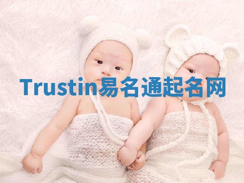 Trustin易名通起名网