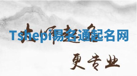 Tshepi易名通起名网