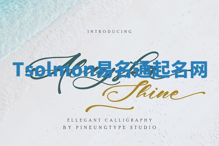 Tsolmon易名通起名网