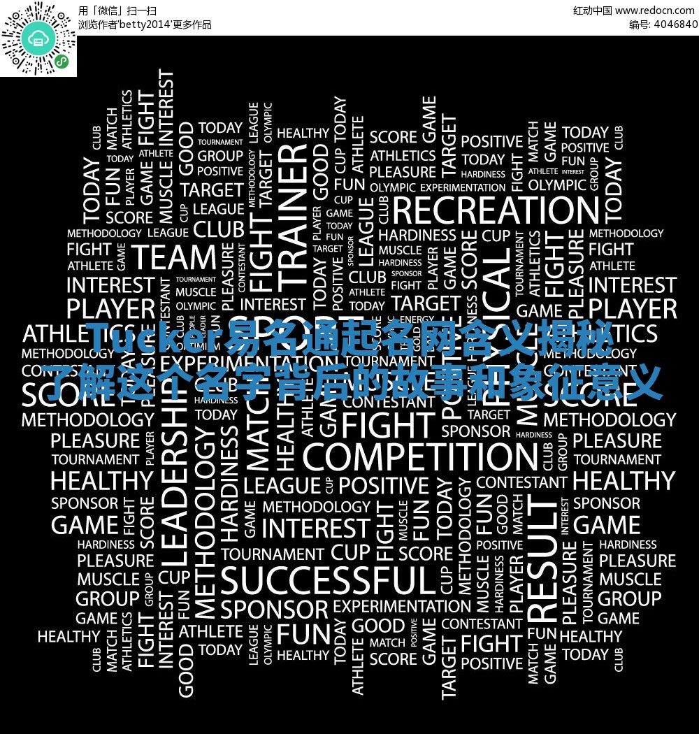 Tucker易名通起名网含义揭秘 了解这个名字背后的故事和象征意义