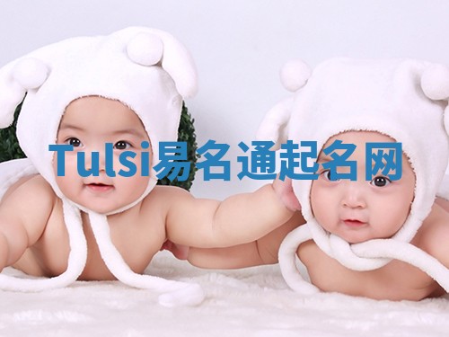 Tulsi易名通起名网