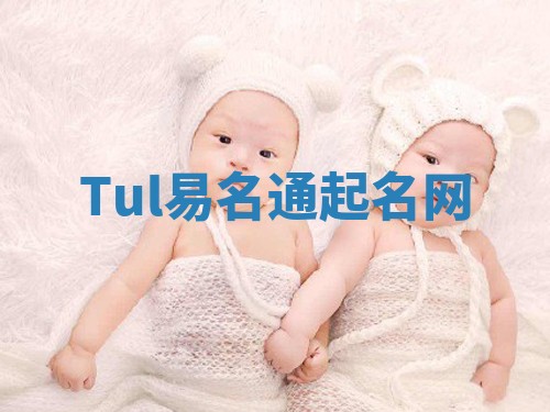 Tul易名通起名网