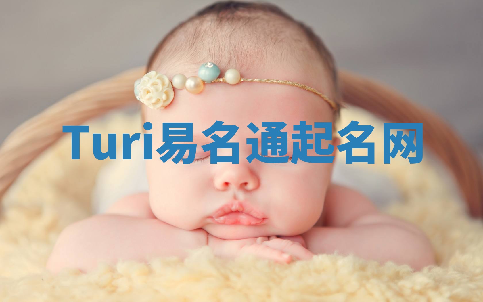 Turi易名通起名网