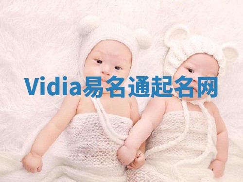 Vidia易名通起名网
