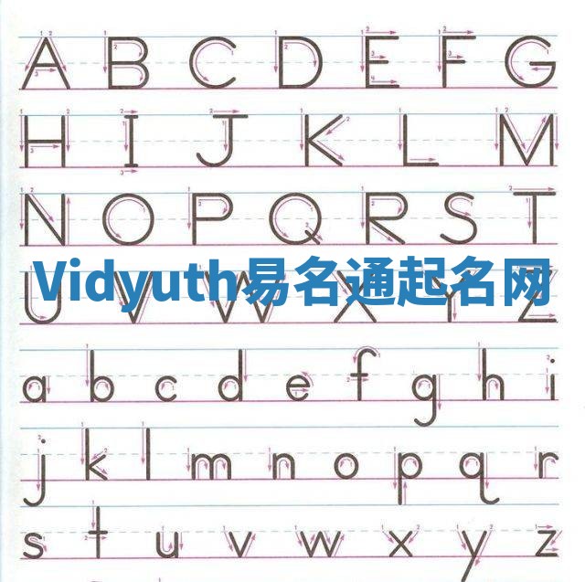 Vidyuth易名通起名网 Vidyuth易名通起名网