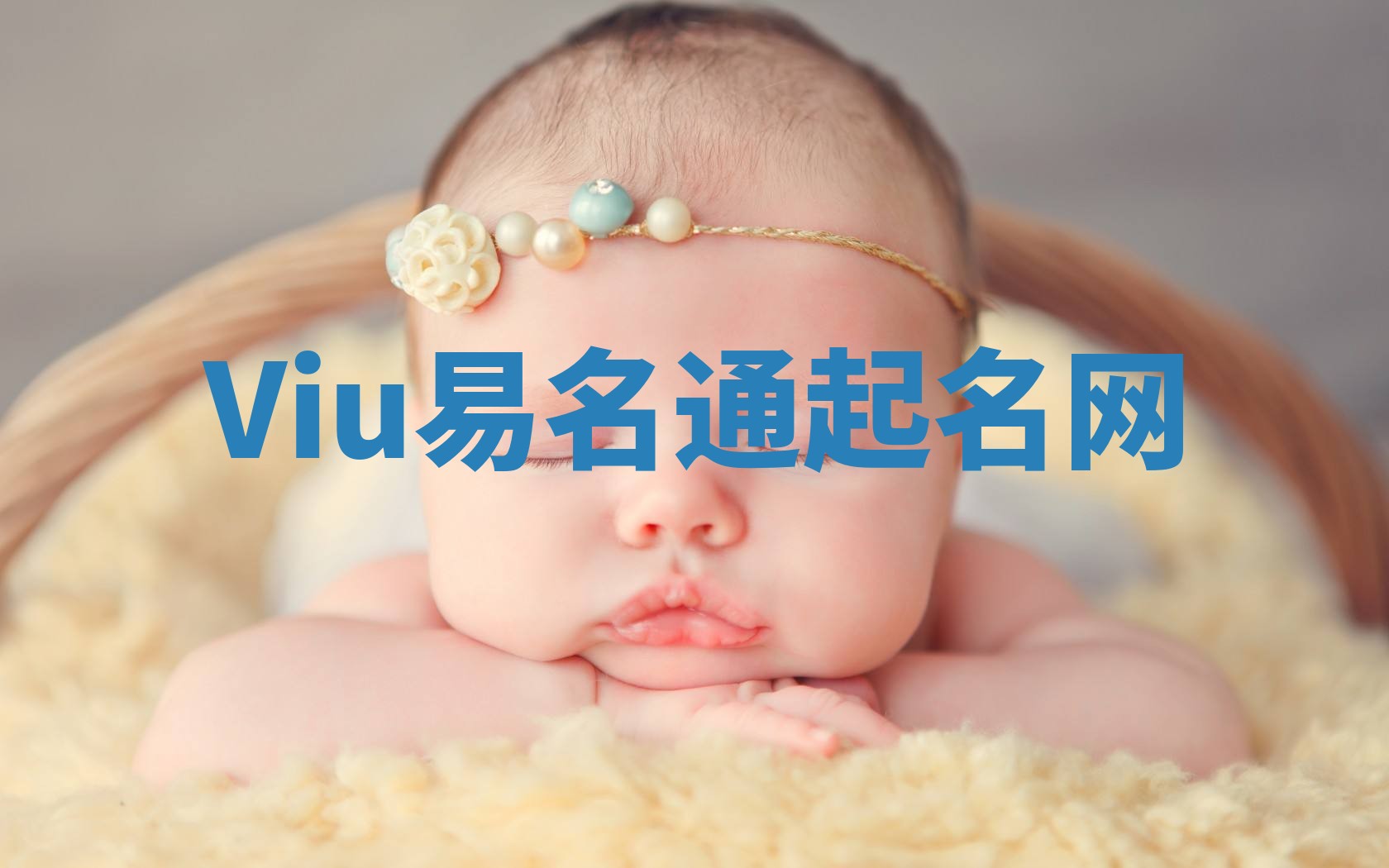 Viu易名通起名网