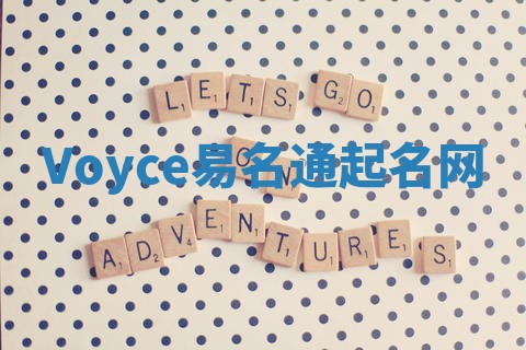 Voyce易名通起名网