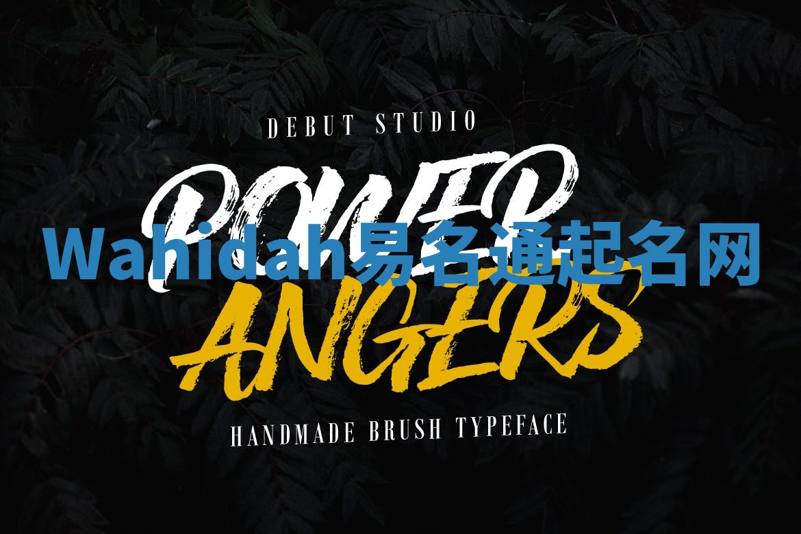 Wahidah易名通起名网