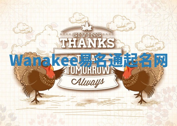Wanakee易名通起名网