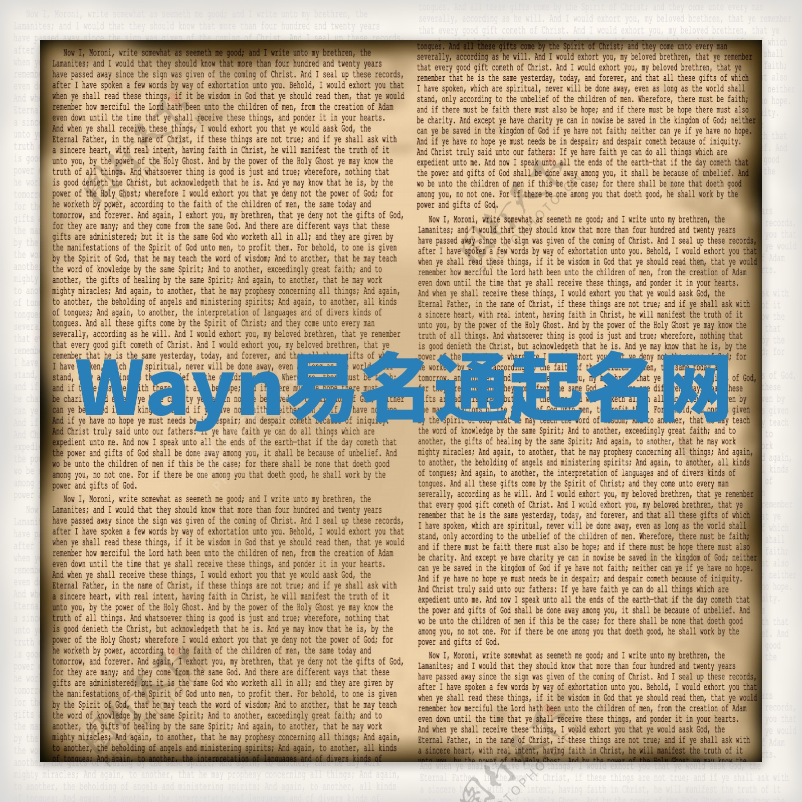 Wayn易名通起名网