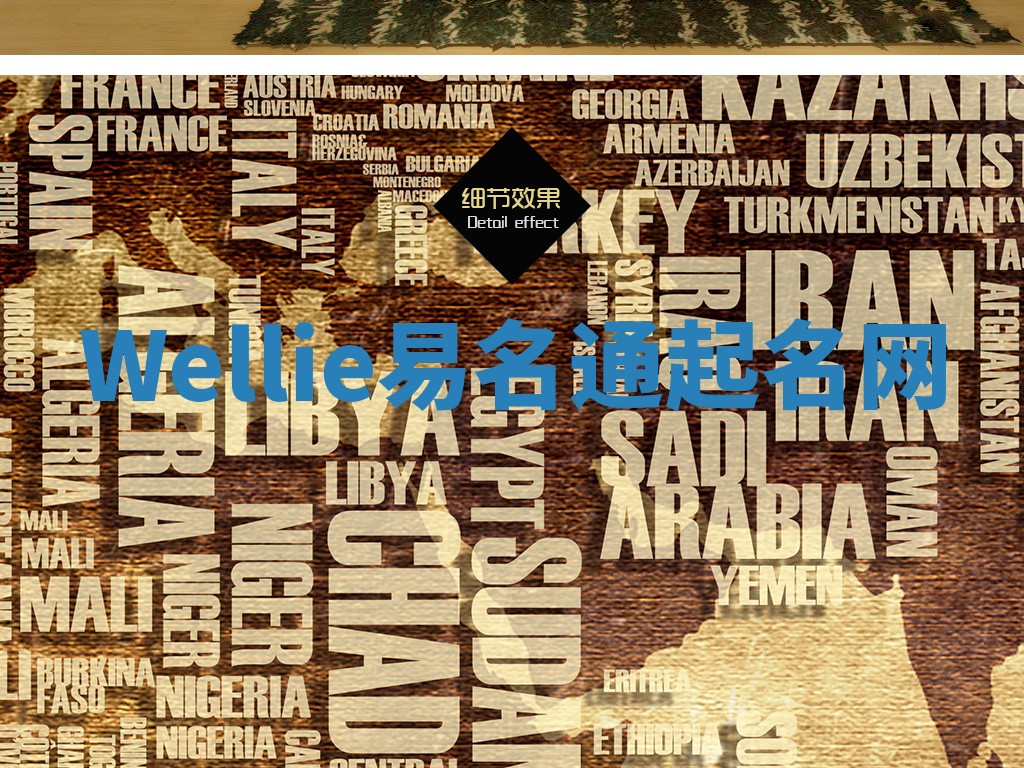 Wellie易名通起名网