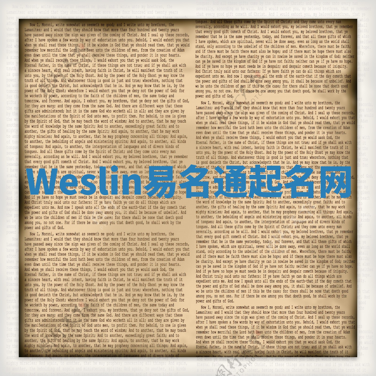 Weslin易名通起名网