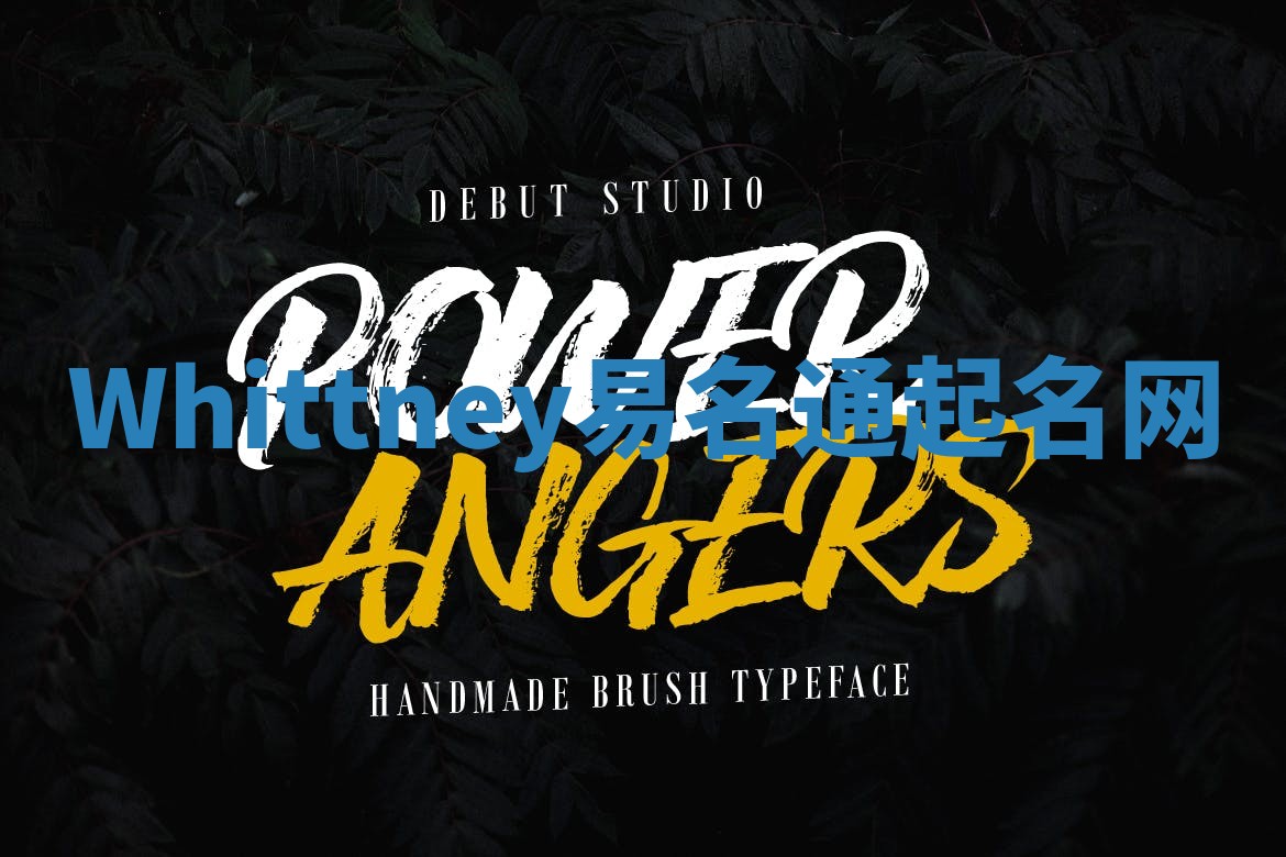 Whittney易名通起名网 Whittney易名通起名网