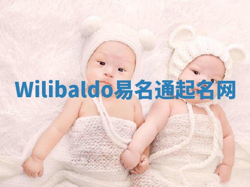 Wilibaldo易名通起名网