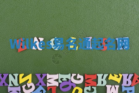 Wilkes易名通起名网