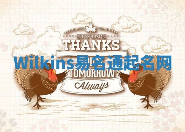 Wilkins易名通起名网