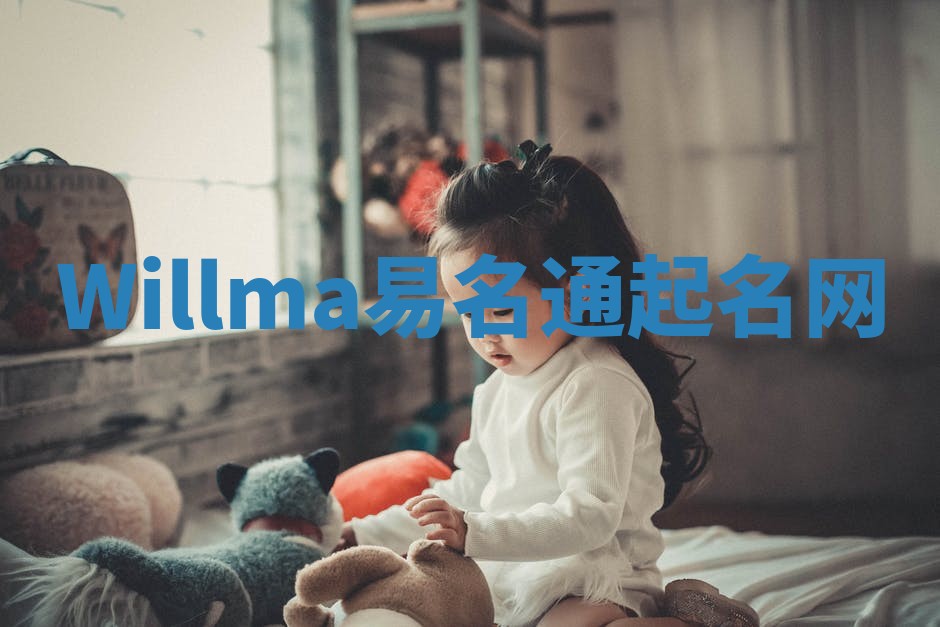 Willma易名通起名网 Willma易名通起名网
