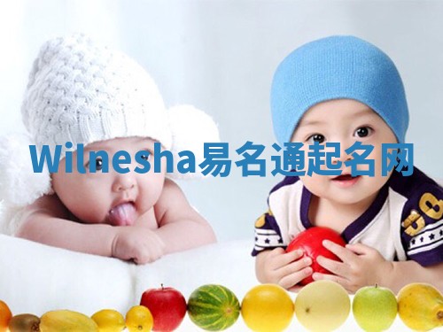 Wilnesha易名通起名网 Wilnesha易名通起名网