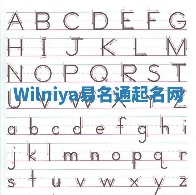 Wilniya易名通起名网
