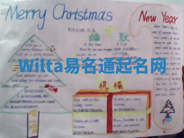 Wilta易名通起名网