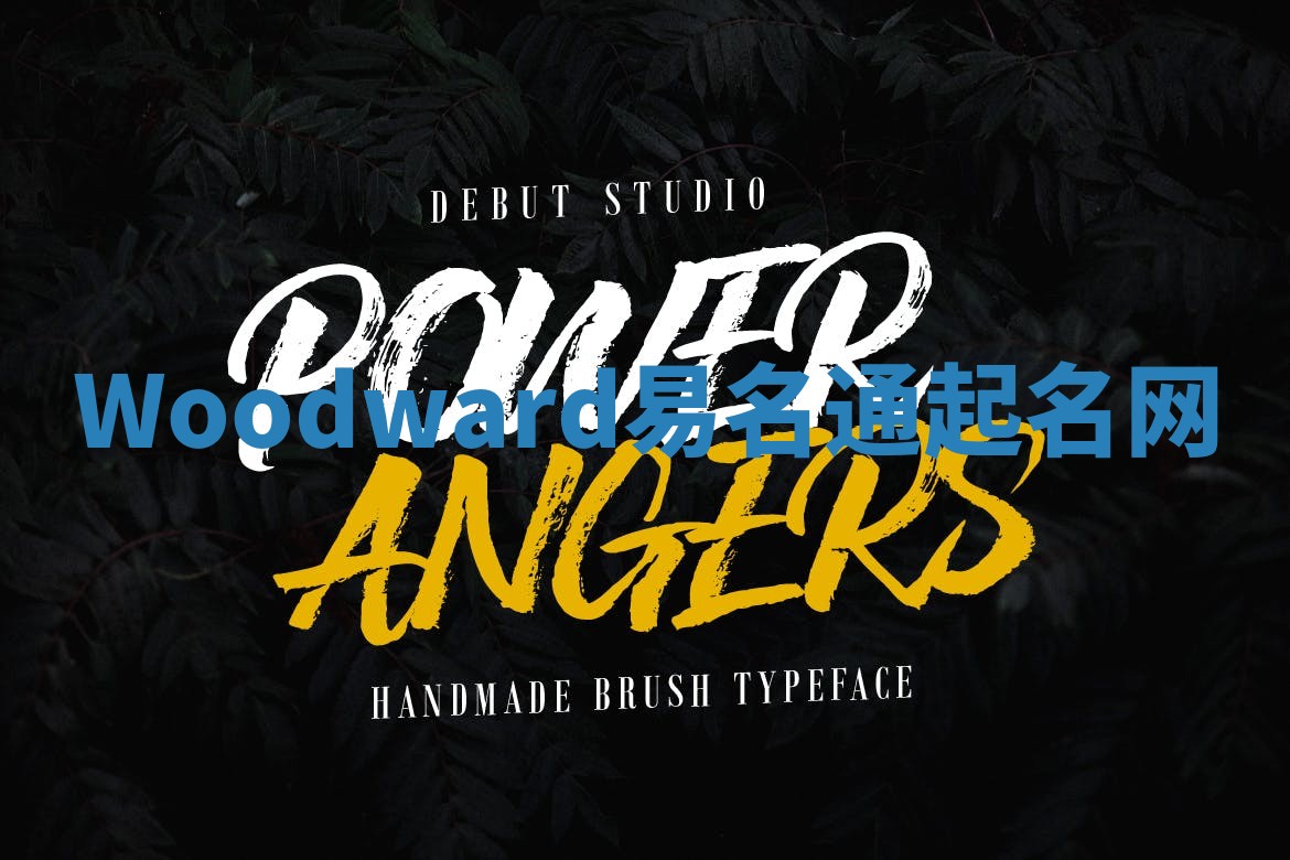 Woodward易名通起名网 Woodward易名通起名网